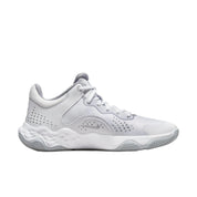 Nike Fly By Mid 3 White / Wolf Grey  DD9311-101 Men's