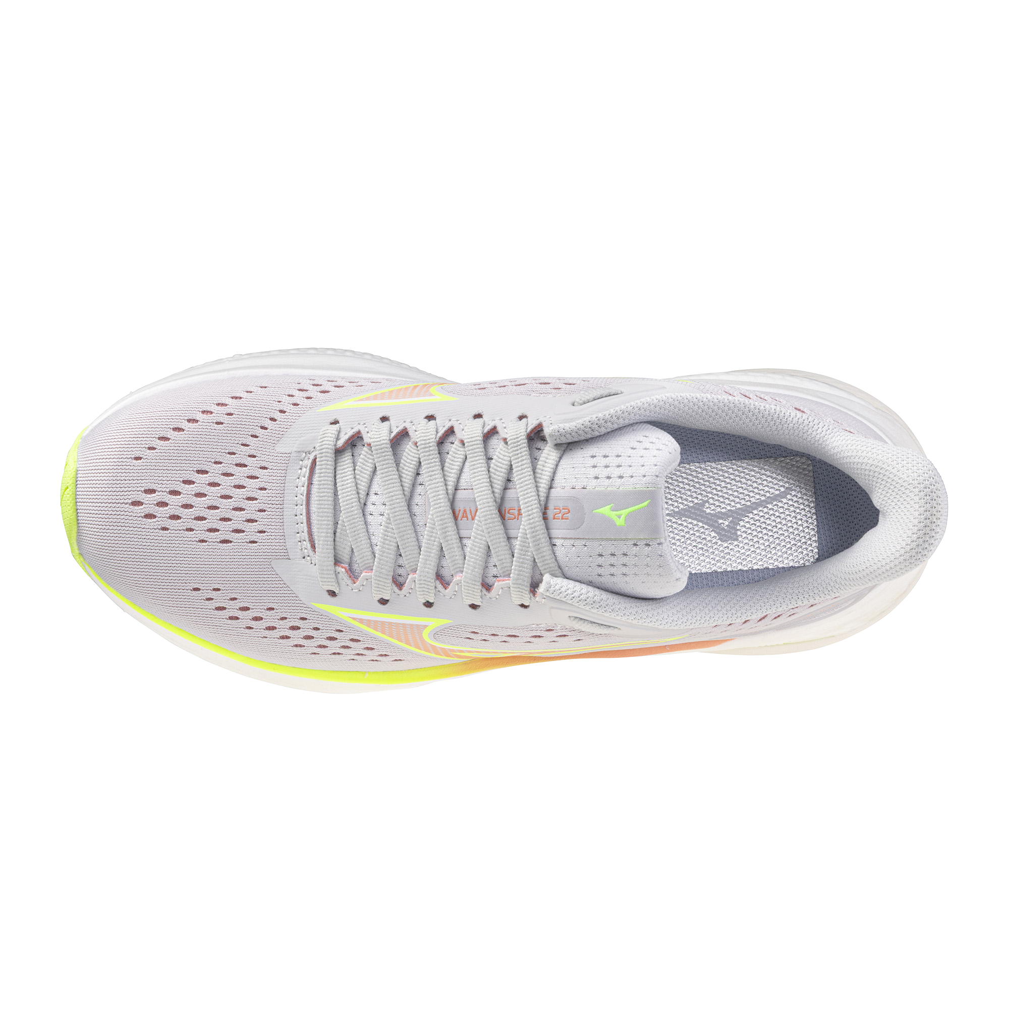 Women's Wave Inspire 22 (7N2N - Cloudscape/Desert Flower)