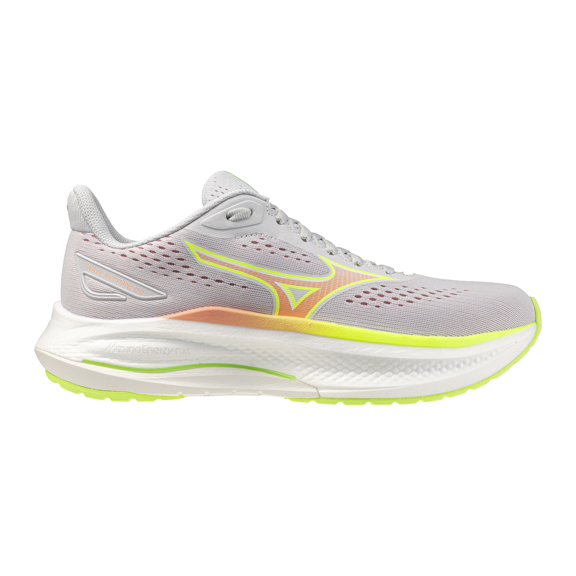 Women's Wave Inspire 22 (7N2N - Cloudscape/Desert Flower)
