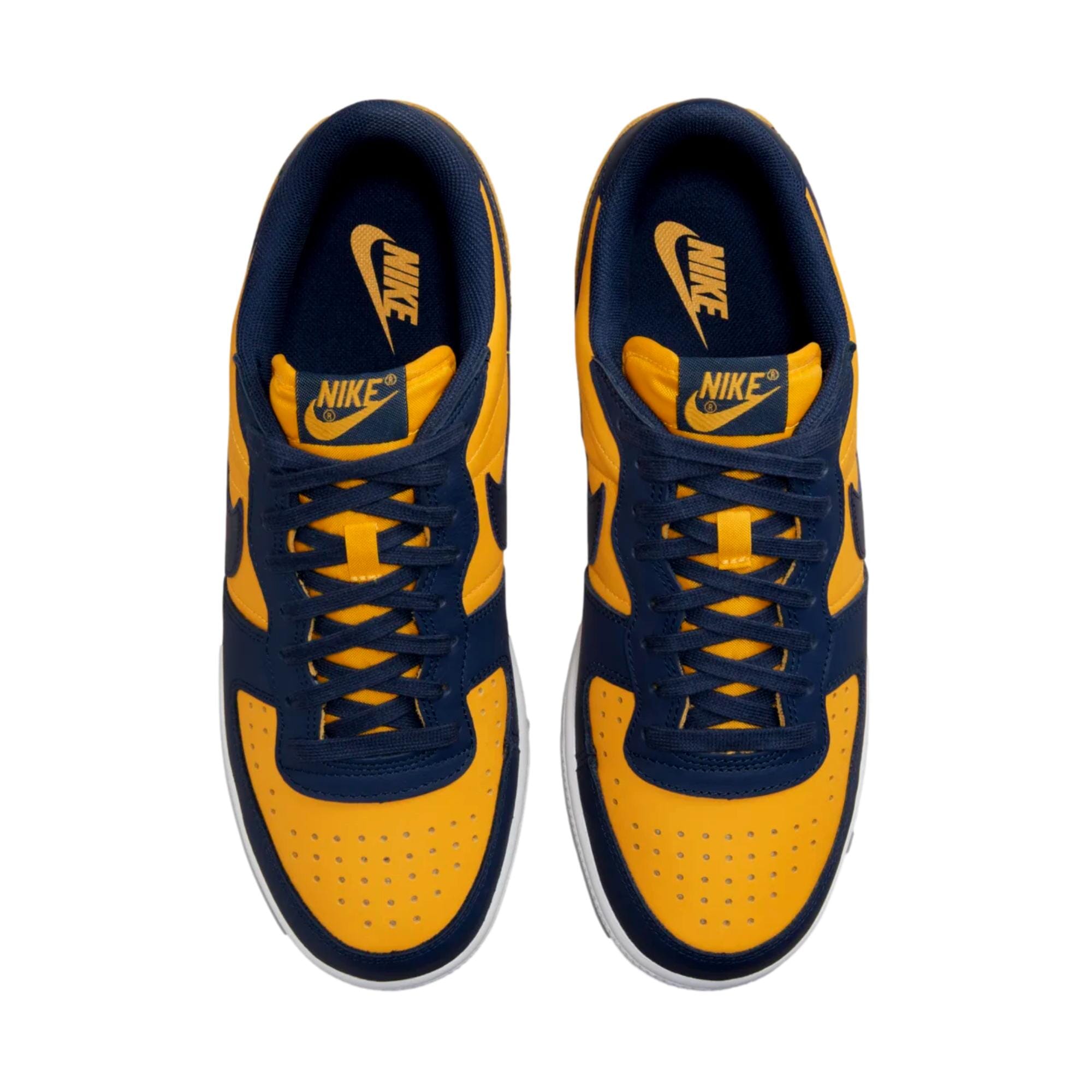 Men's Nike Terminator Low OG University Gold/Navy-White FJ4206-700