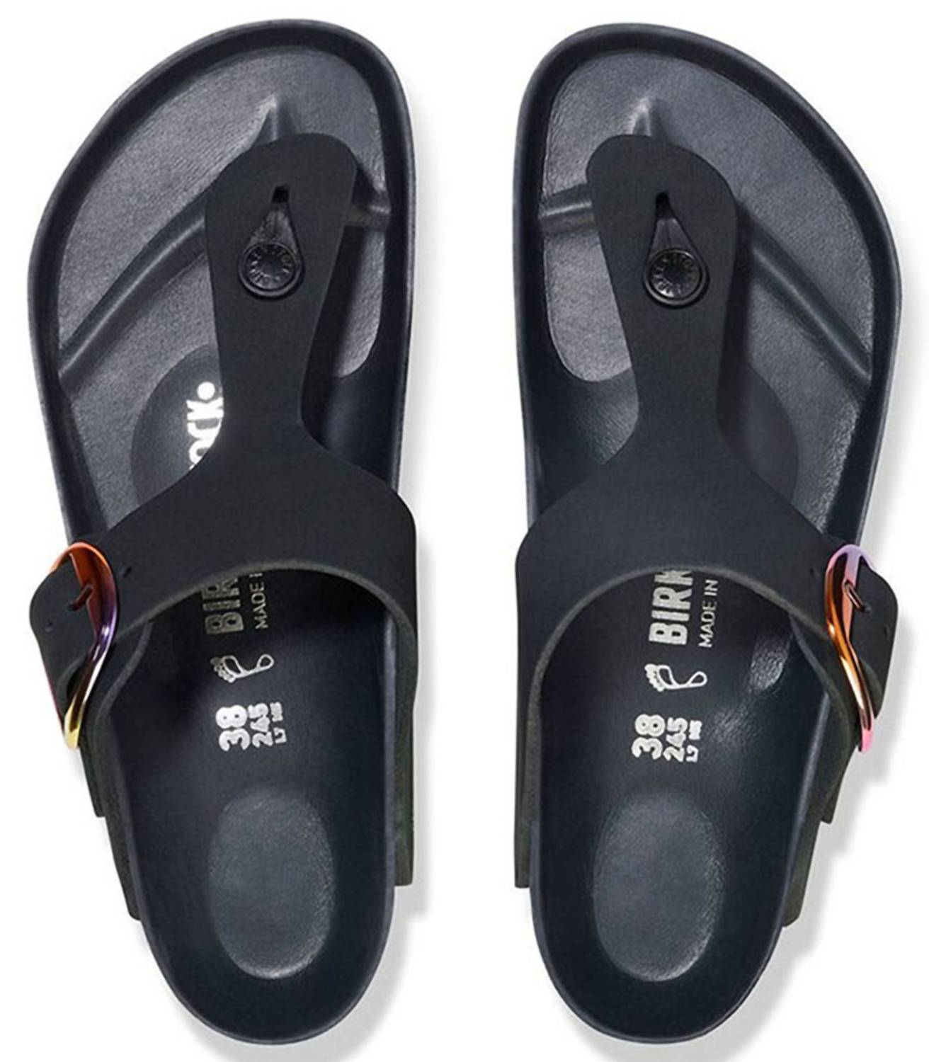 Women's Gizeh Big Buckle Sandals In Black Oiled Leather