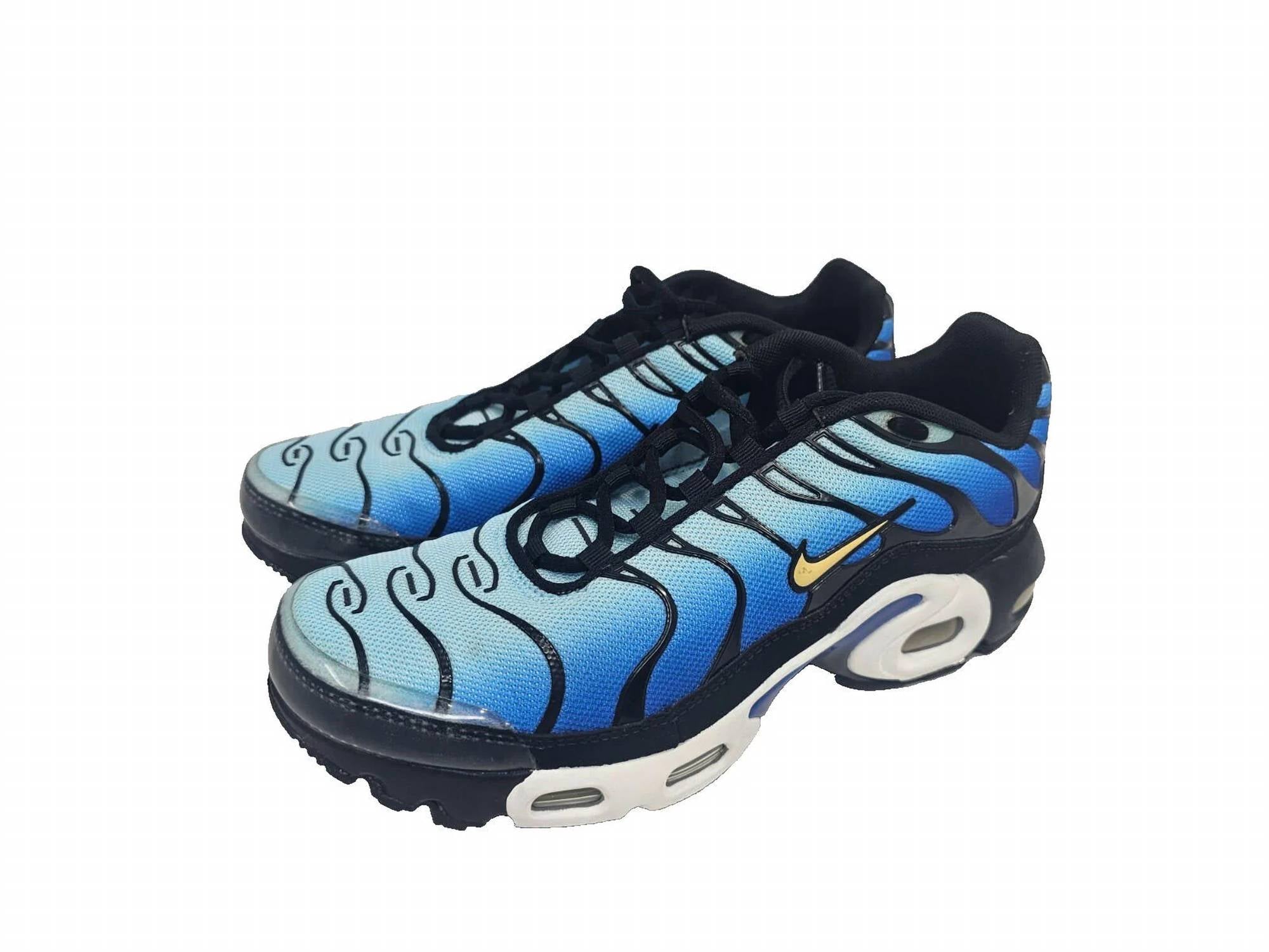Big Kids' Air Max Plus Sneaker In Black/skyblue Chamois