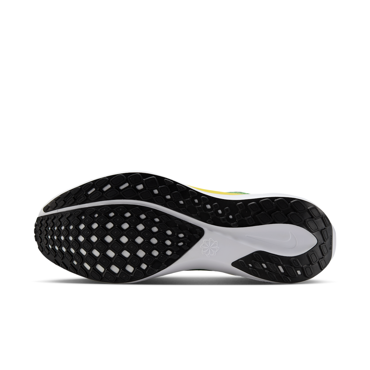 Oregon Pegasus 41  Men's College Road Running Shoes