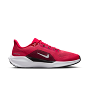 Ohio State Pegasus 41  Men's College Road Running Shoes