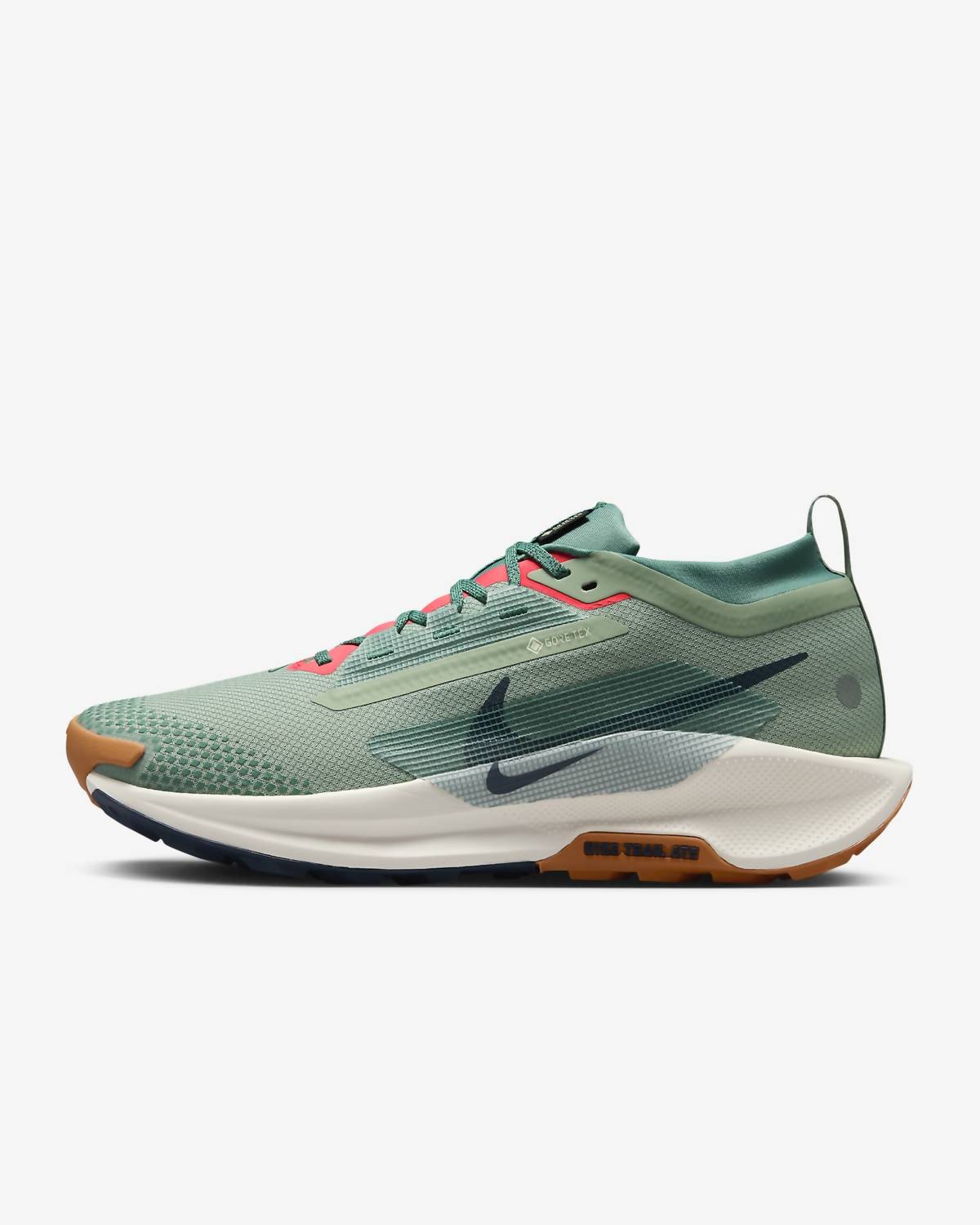 Men's Pegasus Trail 5 Shoes In Jade Horizon