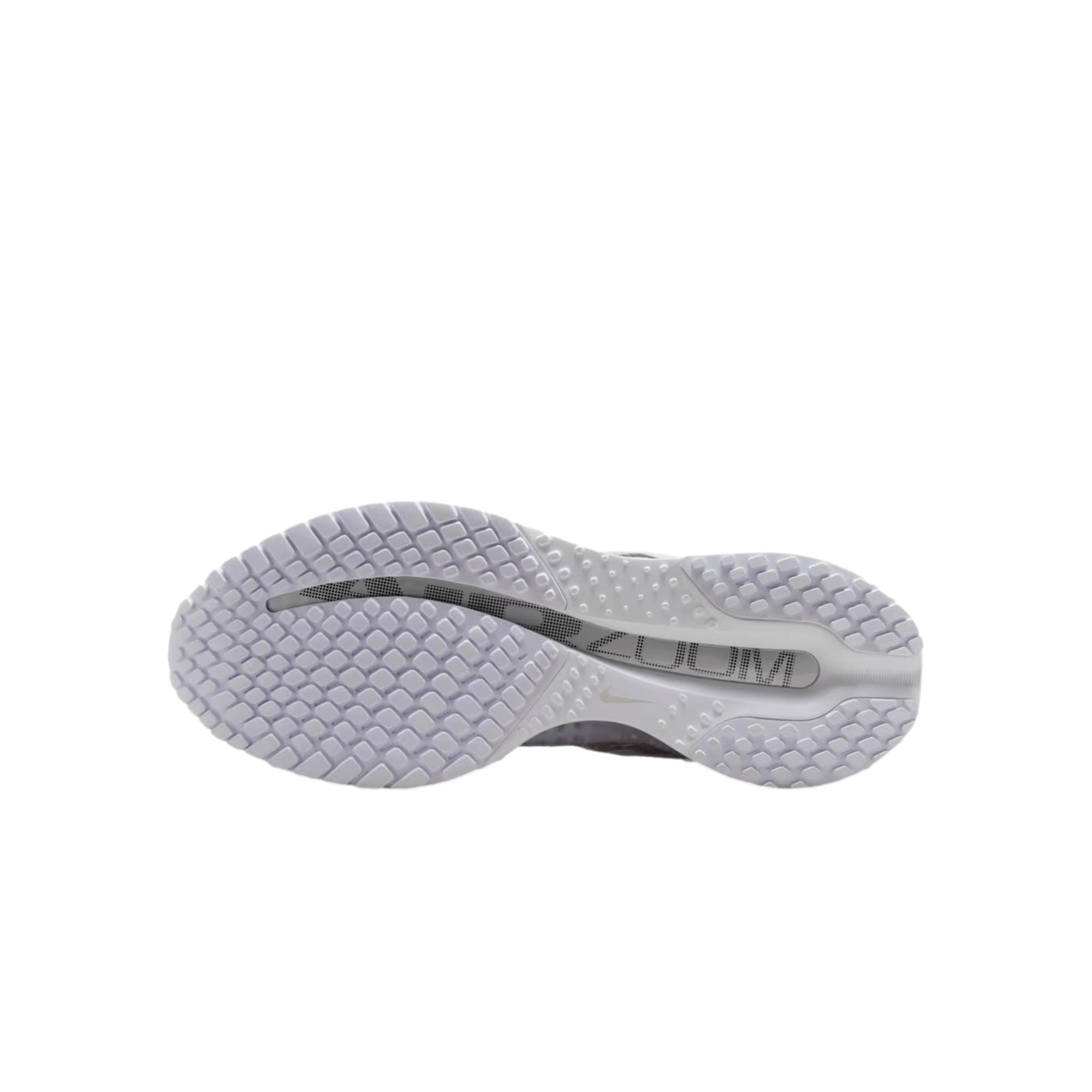 Nike Pegasus Premium White / Metallic Silver  HQ2593-102 Women's