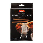 12pc Jasart Studio Art/Craft Jumbo Colour Pencil Set