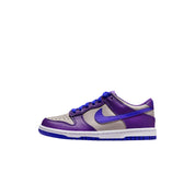 Grade-School Nike Dunk Low College Grey / Persian Violet FB9109-007