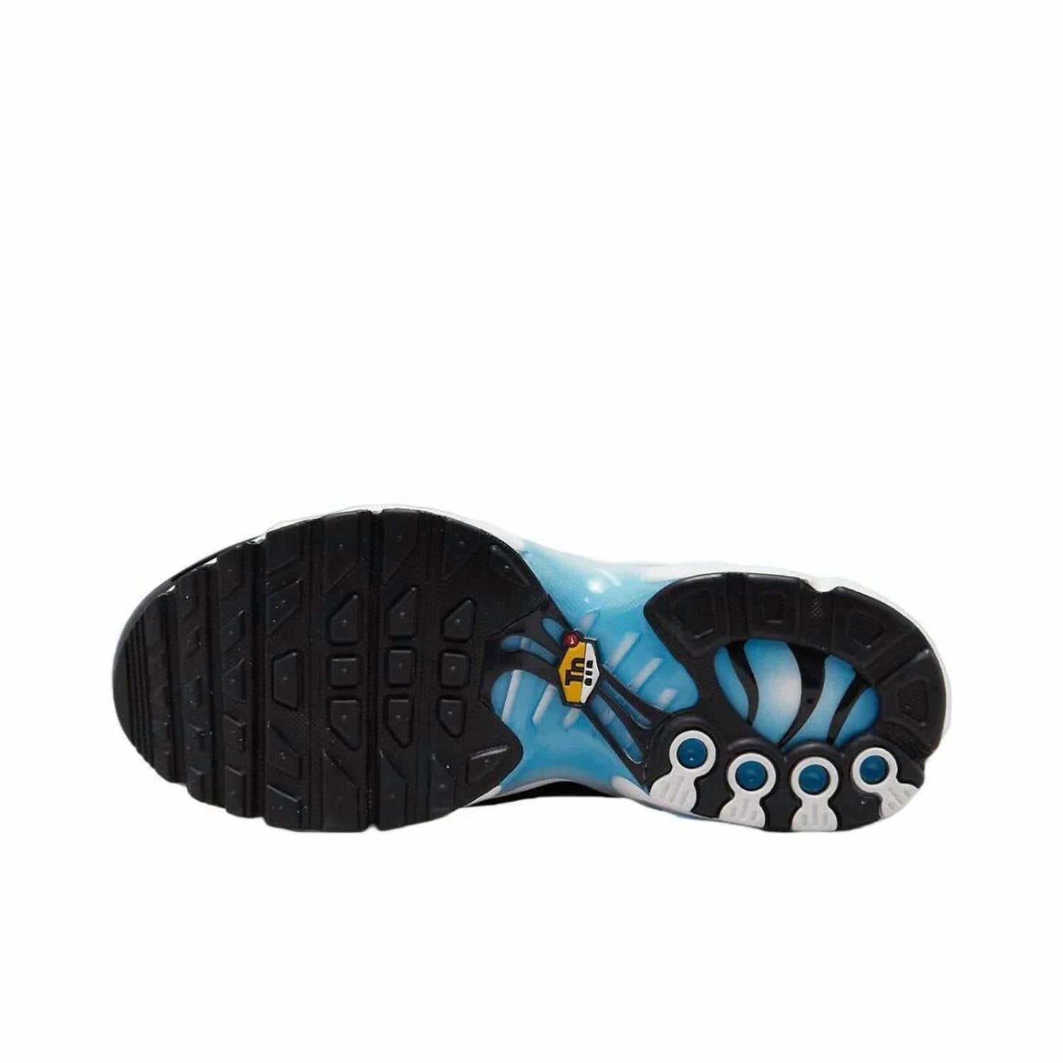 Big Kids' Air Max Plus Sneaker In Black/skyblue Chamois