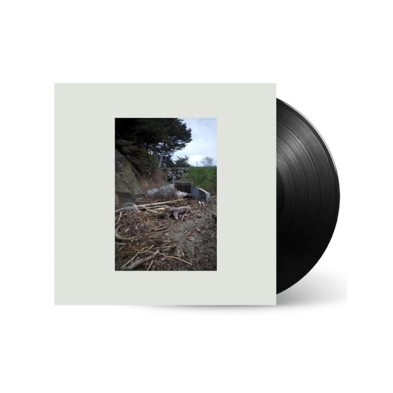 5 Easy Hot Dogs (Vinyl)