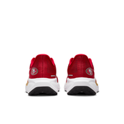 San Francisco 49ers Pegasus 41  Men's NFL Road Running Shoes