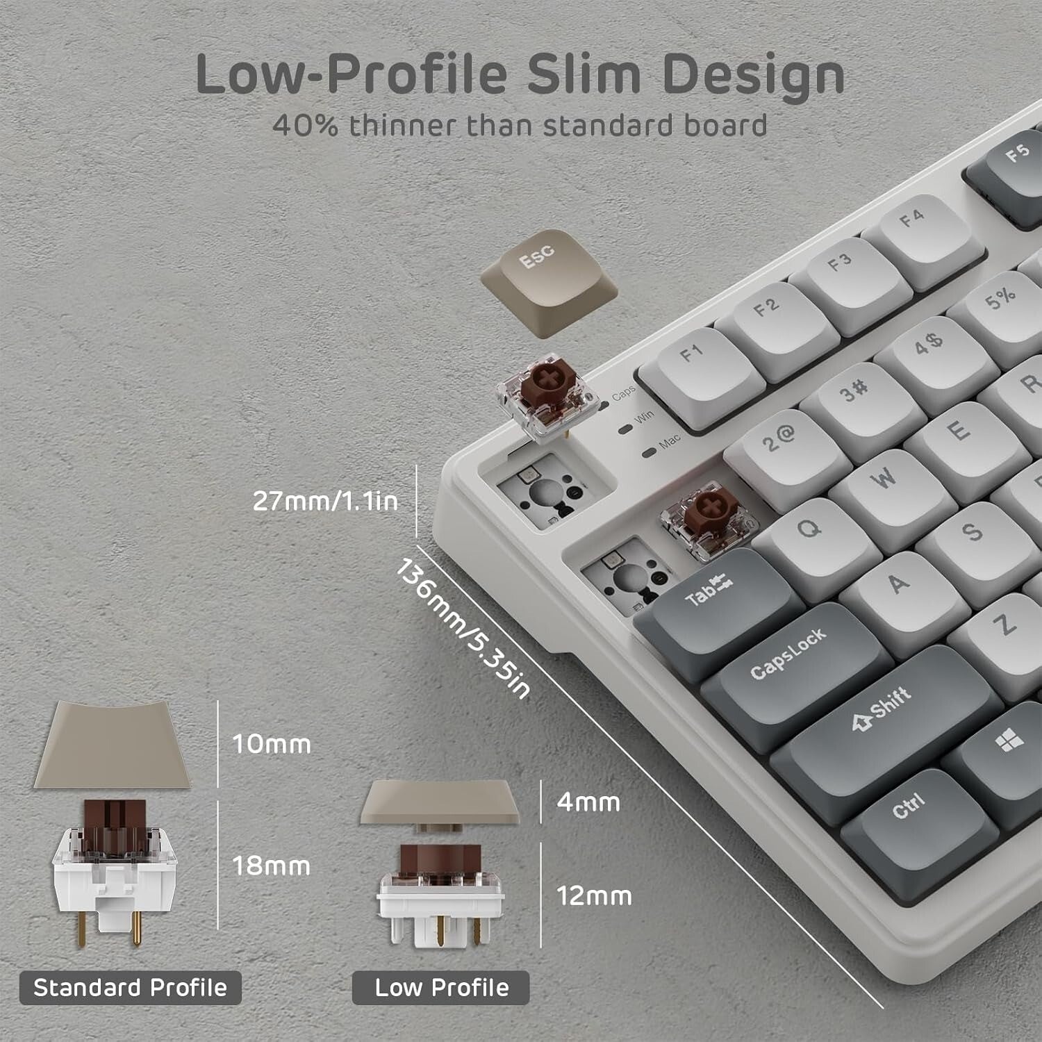 Royal Kludge RK N80 Tri Mode RGB Hot Swap Mechanical Keyboard (Brown Switch)