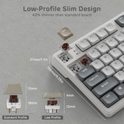 Royal Kludge RK N80 Tri Mode RGB Hot Swap Mechanical Keyboard (Brown Switch)
