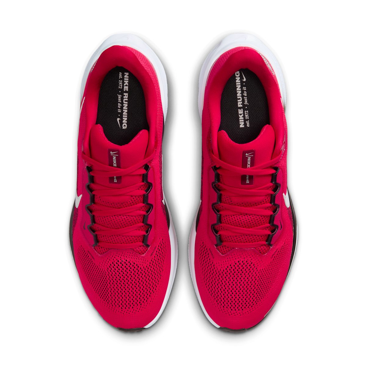 Ohio State Pegasus 41  Men's College Road Running Shoes