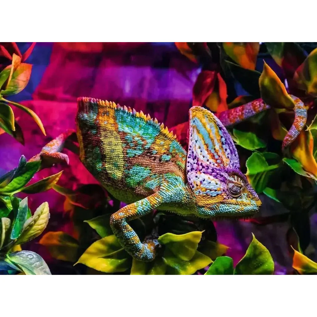 500pc Chameleon Puzzle