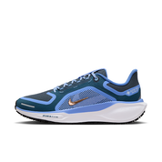 Women's Pegasus 41 GORE-TEX Waterproof Road Running Shoes