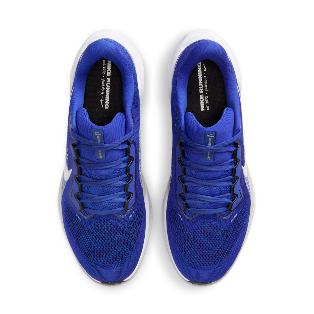 Kentucky Pegasus 41  Men's College Road Running Shoes