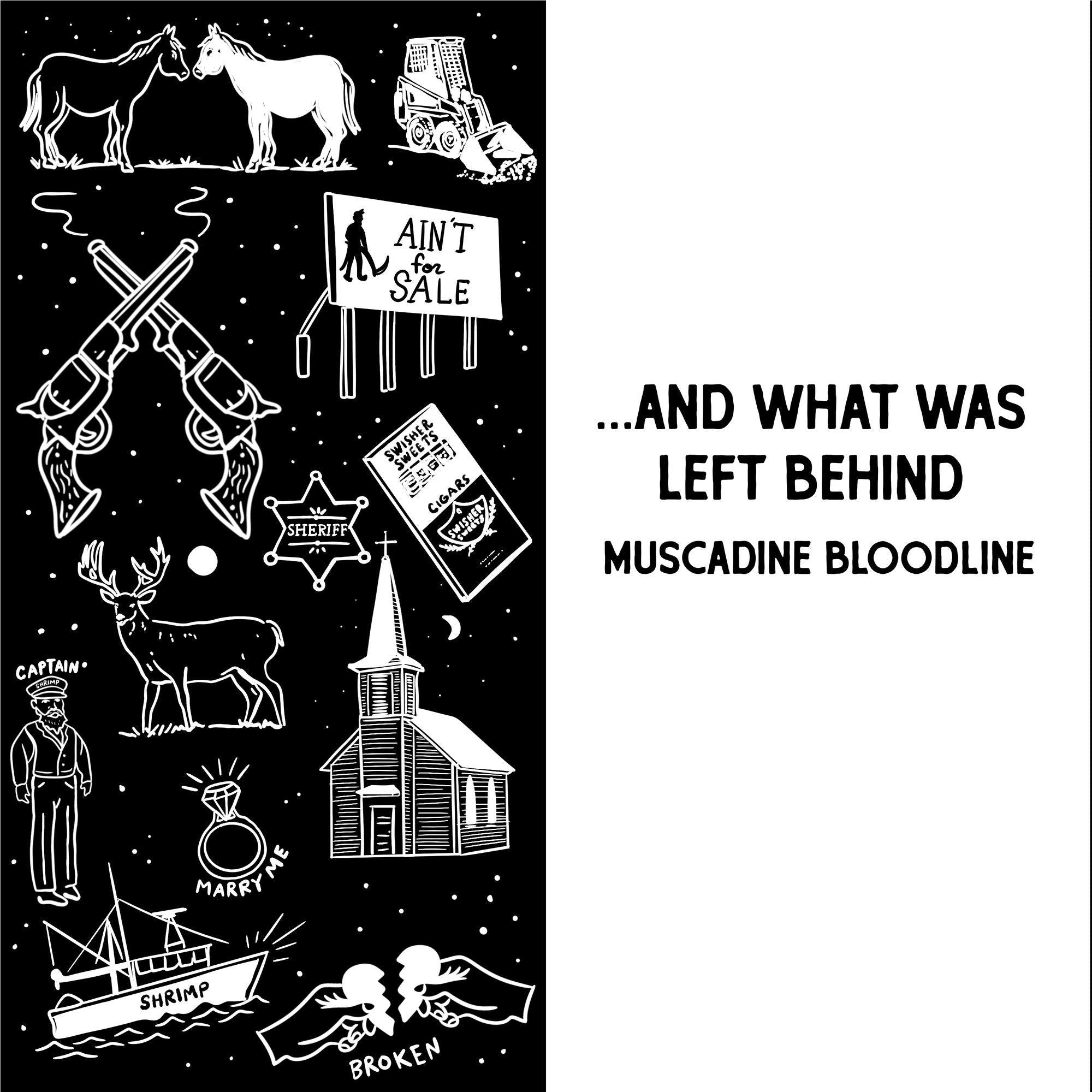 ... And What Was Left Behind