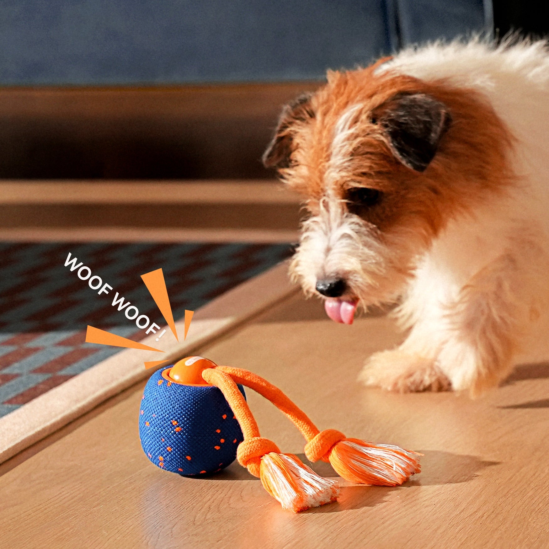 Cheerble Wicked Ball Rolly - Interactive Smart Dog Toy - Royal Blue