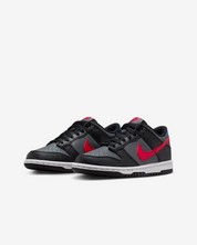 Kids Nike Dunk Low FV0373-001 Sneaker Black Leather Lifestyle Shoes RHS4515
