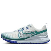 Men's Nike Pegasus Trail 4 DJ6158-005 Sneakers Light Silver Low Top Running Shoes