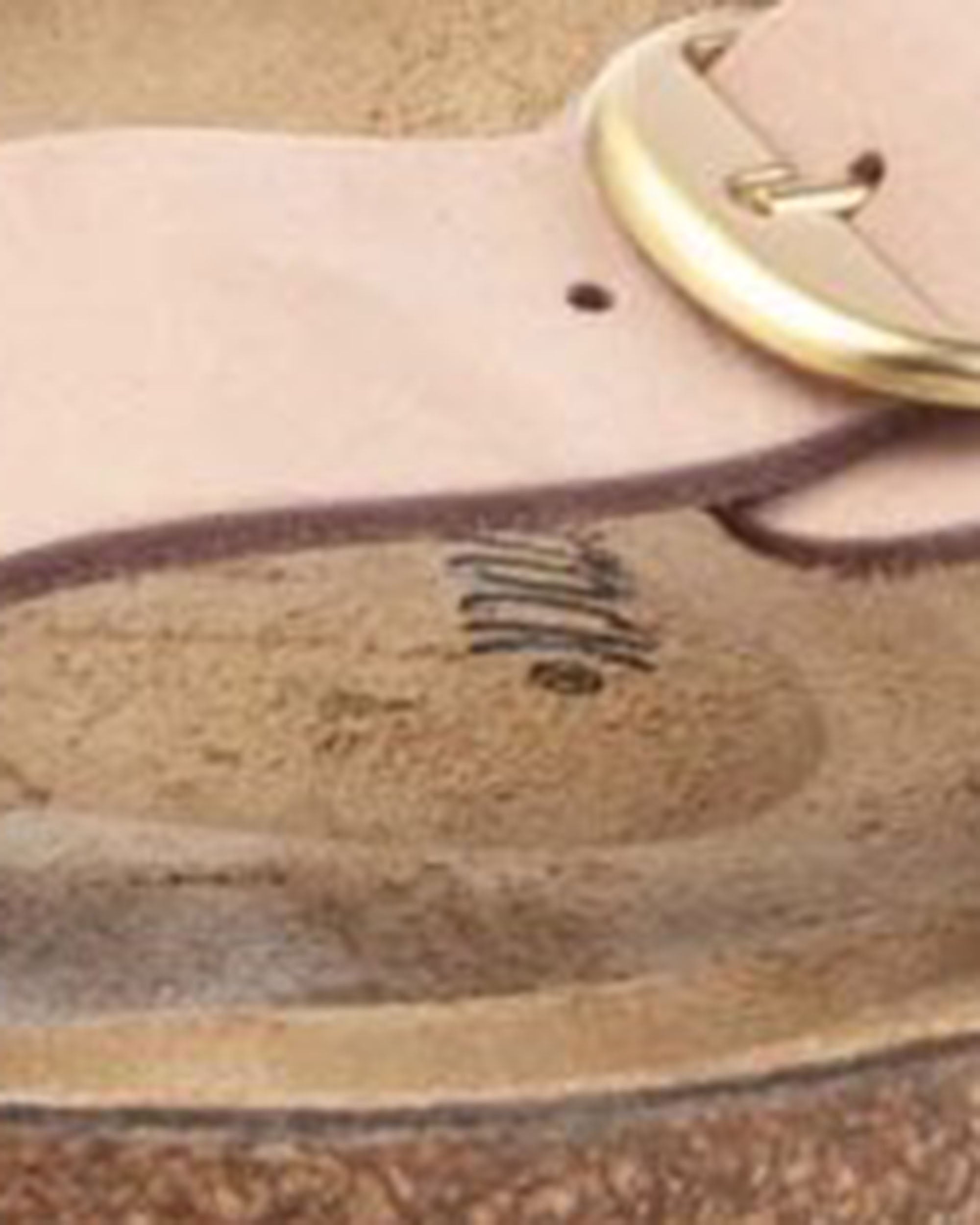Soft Pink Arizona Big Buckle High Shine Sandal
