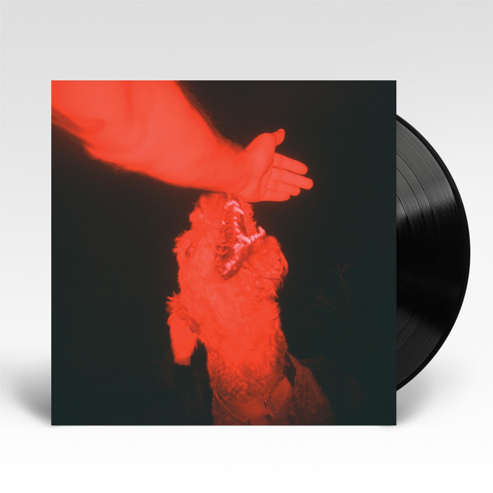 A Trick of the Light (Vinyl)