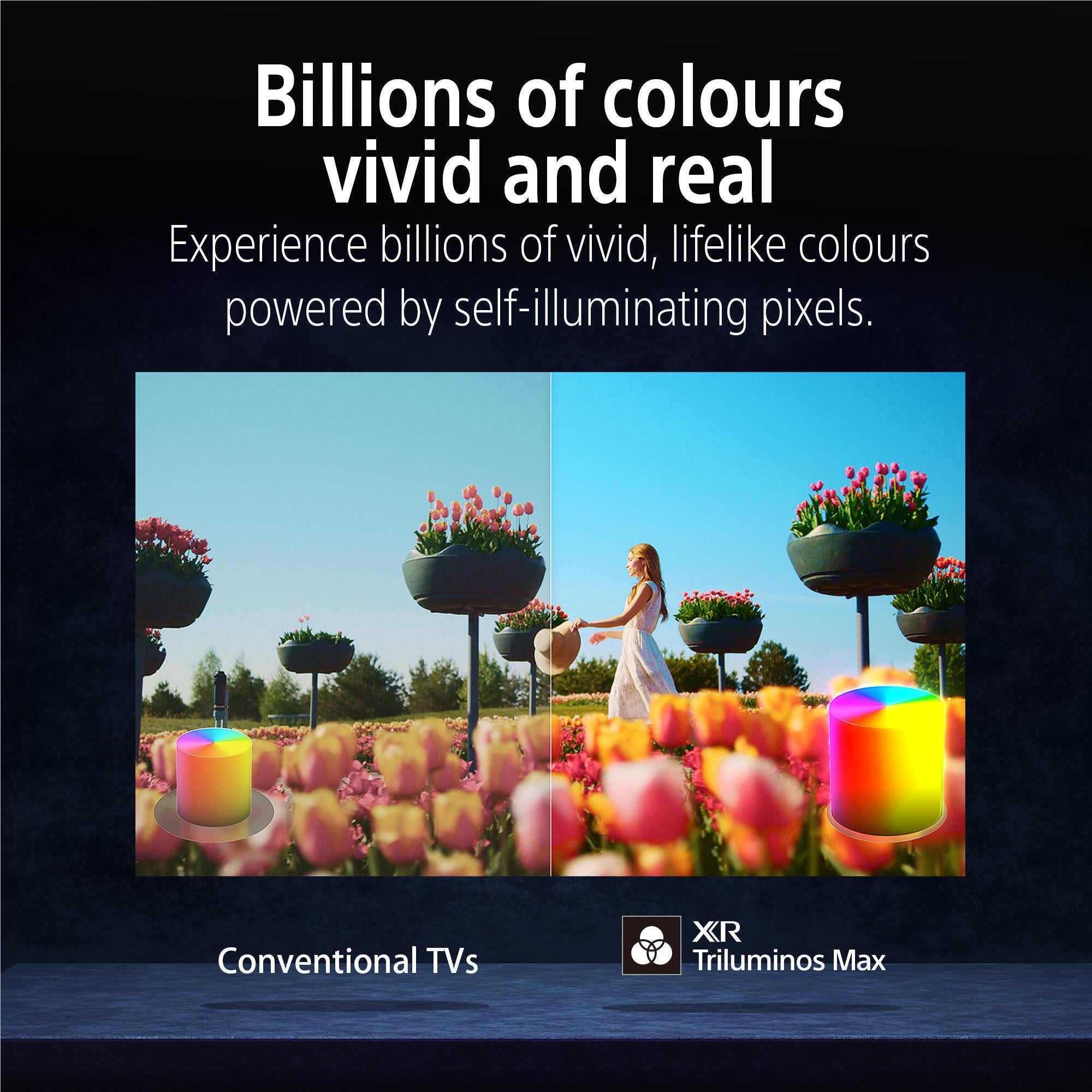 Sony 55" BRAVIA 8 II 4K HDR OLED Google TV [2025]