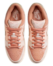 Men's Sb Dunk Low Pro Trocadero Gardens Sneaker In Amber Brown/guava Ice