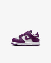 Toddler Nike Dunk Low Baby/ Shoes