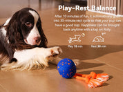 Cheerble Wicked Ball Rolly - Interactive Smart Dog Toy - Royal Blue