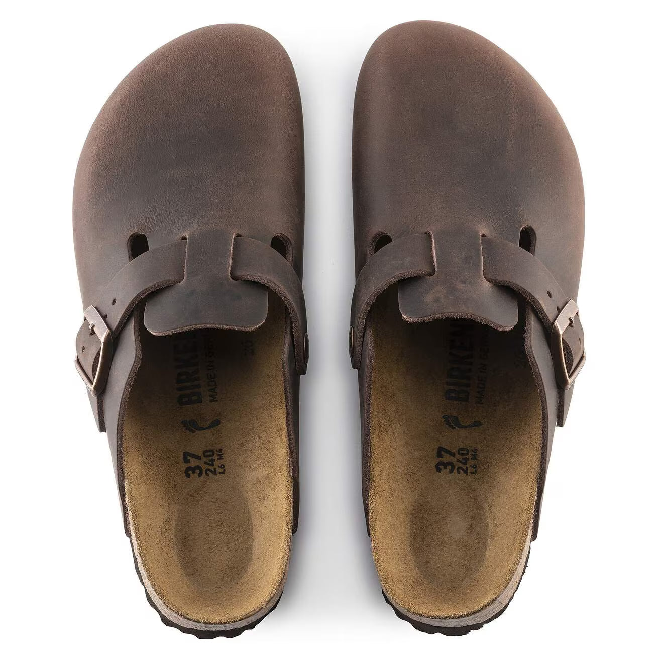 Boston Oiled Leather (Habana)