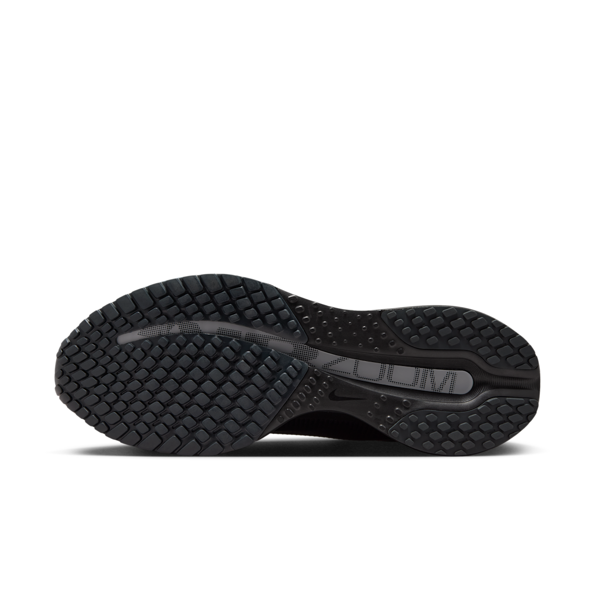 Men's Pegasus Premium SP Shoes