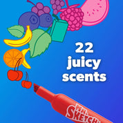 Mr Sketch Scented Markers Assorted Pack 22 Smelly