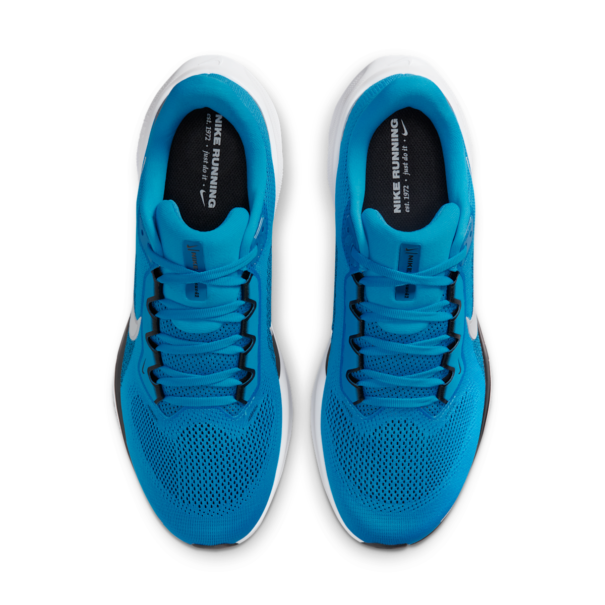 Carolina Panthers Pegasus 41  Men's NFL Road Running Shoes