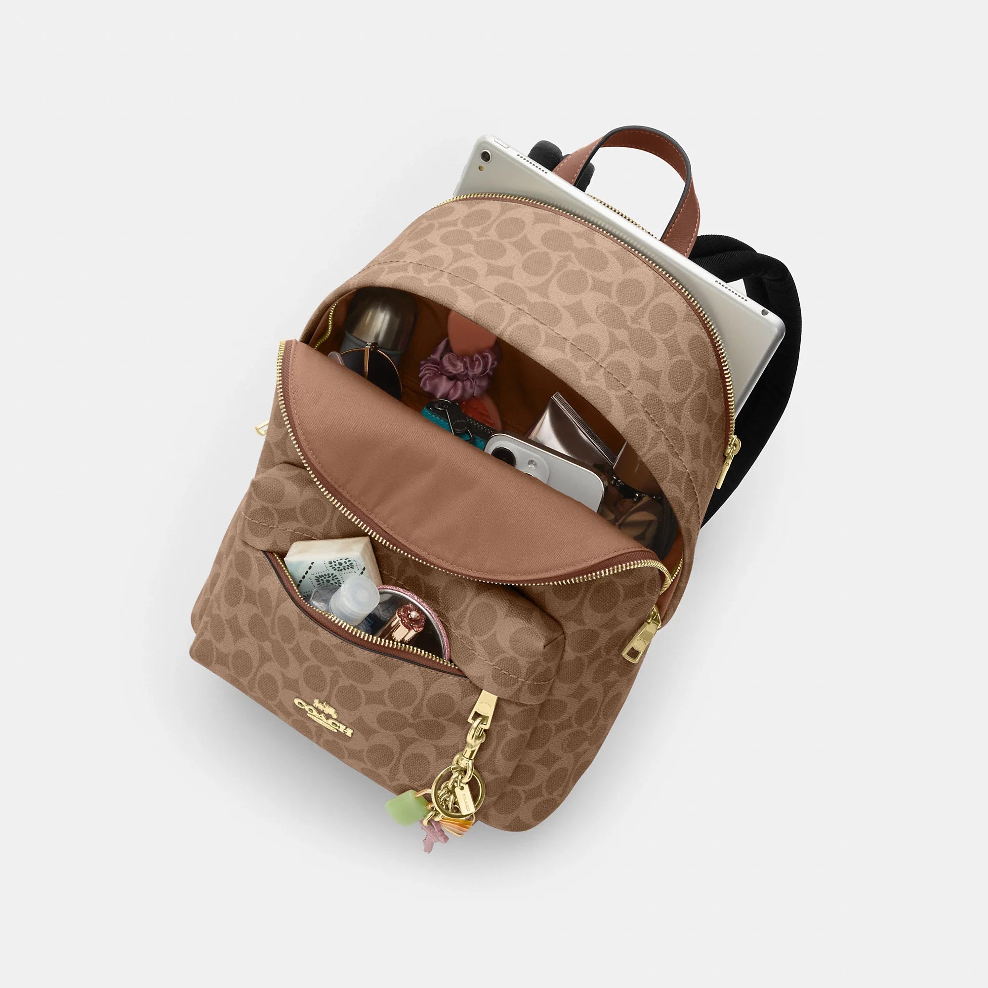 Coach Outlet Taylor Small Backpack In Signature Canvas