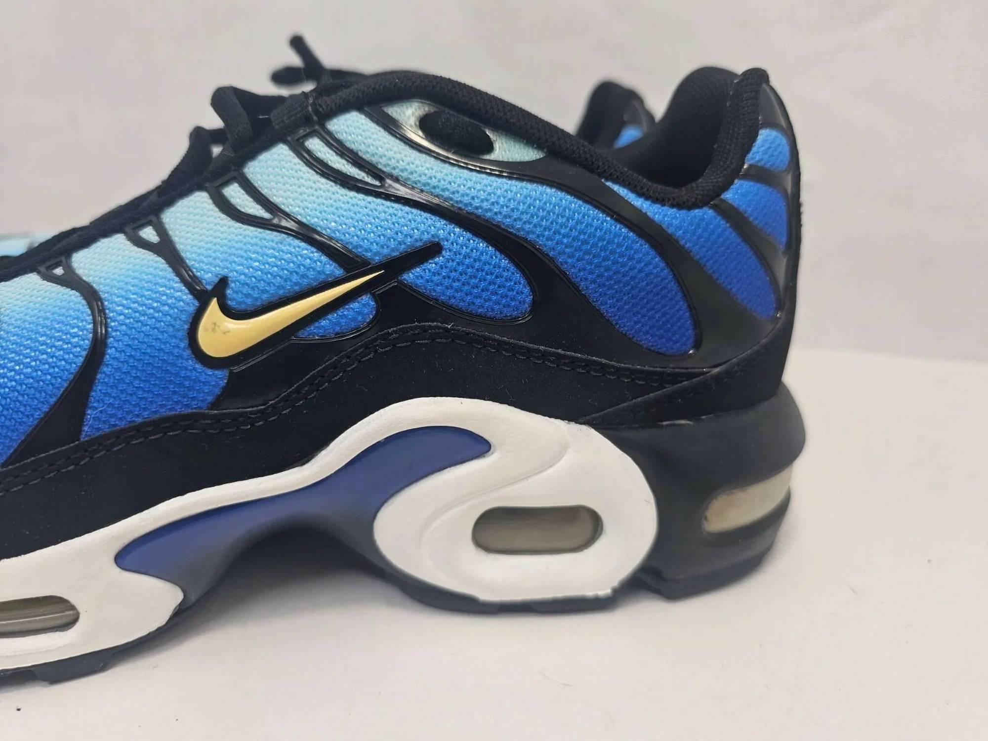 Big Kids' Air Max Plus Sneaker In Black/skyblue Chamois