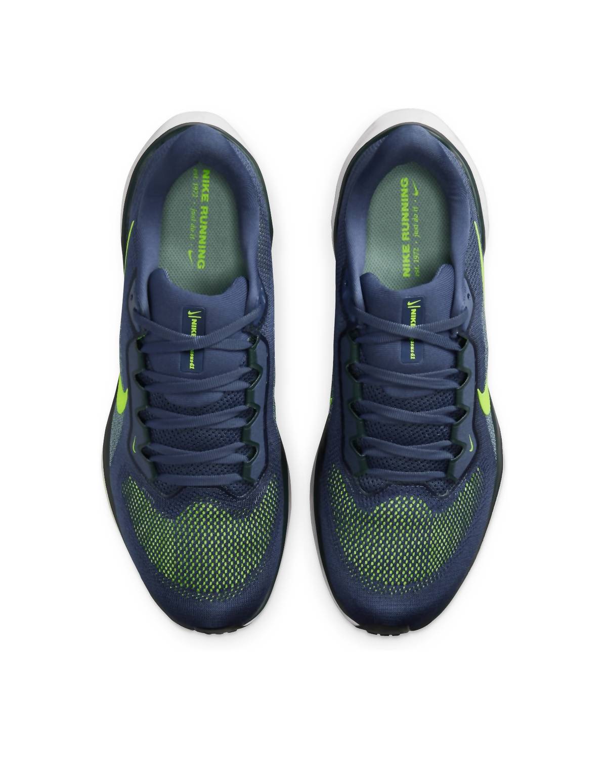 Men's Pegasus 41 Shoes In Sanded Purple/volt-Seaweed-Cannon