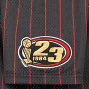 Jordan Playoff Game Jersey - Youth