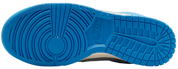 Nike Dunk Low Detroit Lions