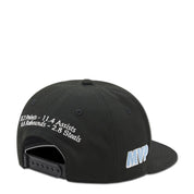 Youth Jordan AJ6 Playoff Pro Snapback