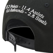 Youth Jordan AJ6 Playoff Pro Snapback