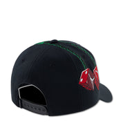 Youth Jordan AJ13 Cherry Dice Rise Dad Cap
