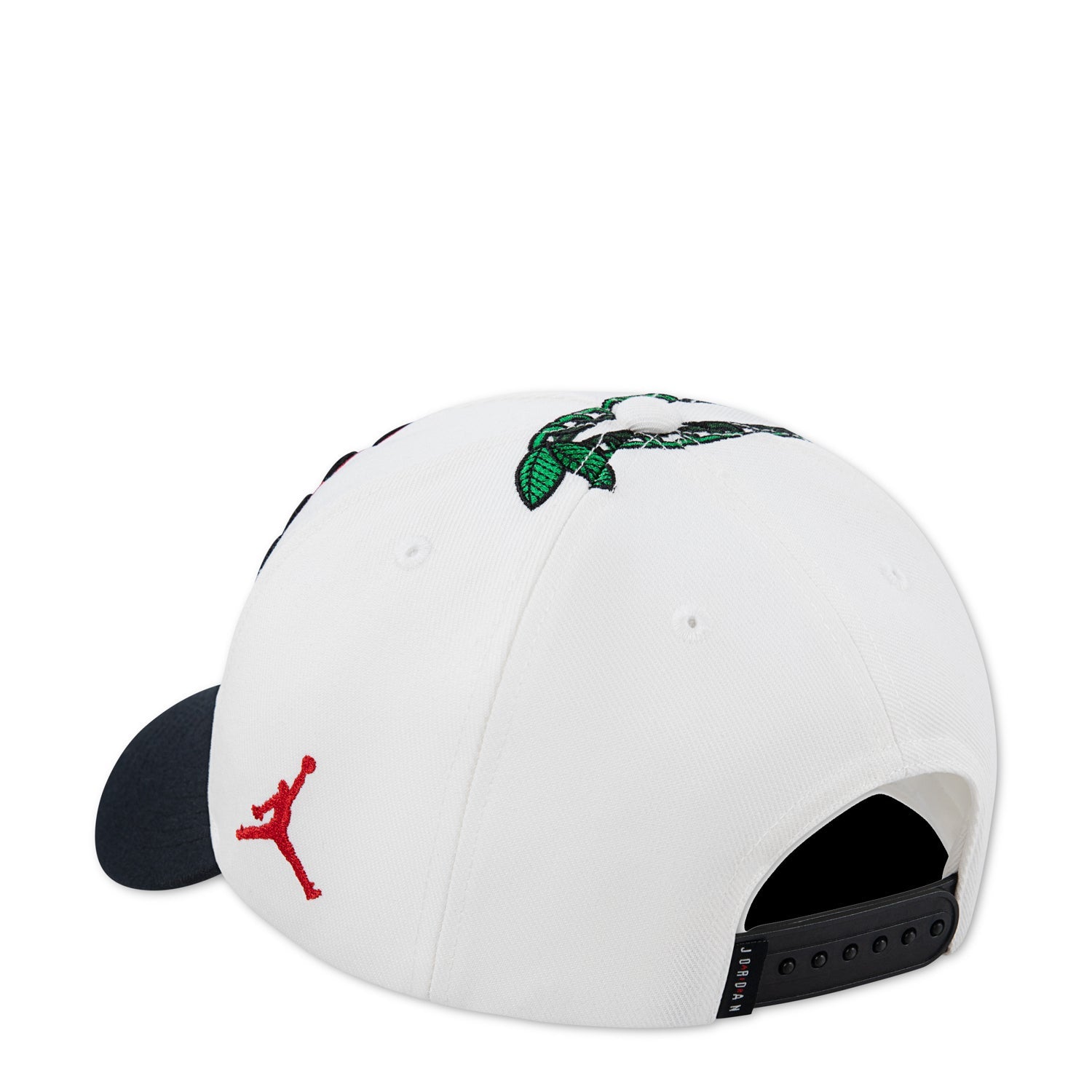 Youth Jordan AJ13 Cherry Dice Rise Dad Cap