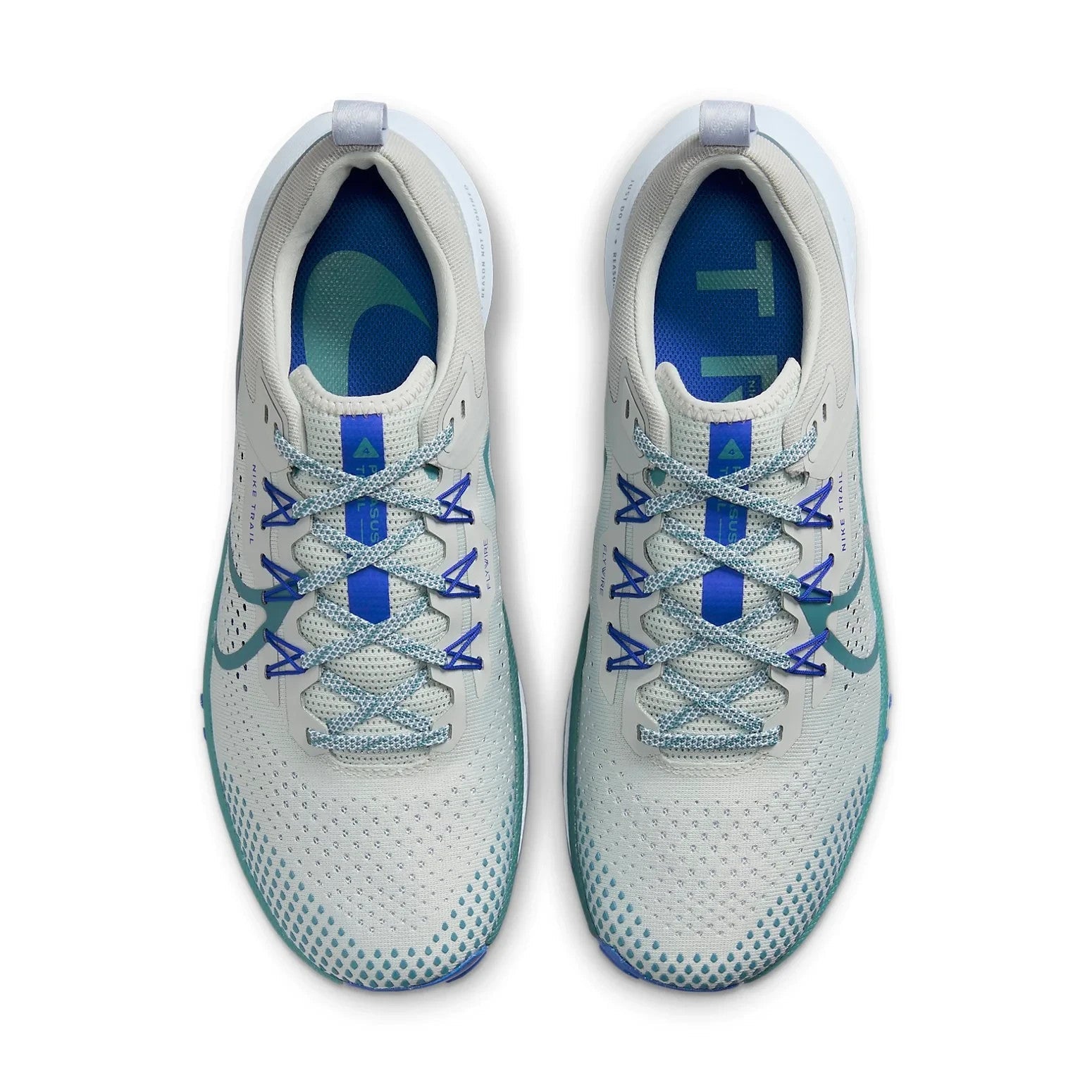 Men's Nike Pegasus Trail 4 DJ6158-005 Sneakers Light Silver Low Top Running Shoes