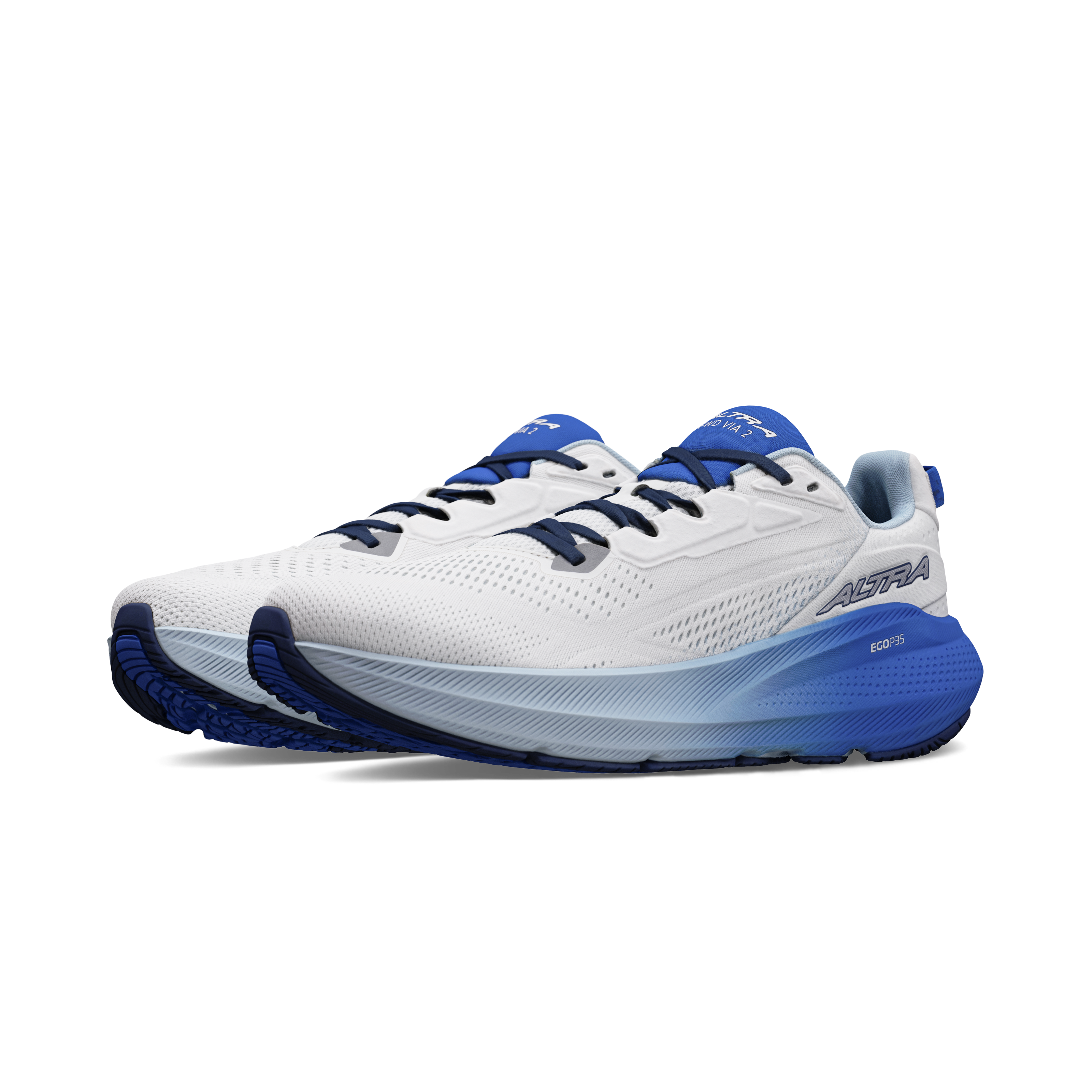Men's FWD Via 2 (420 - Blue/Gray)