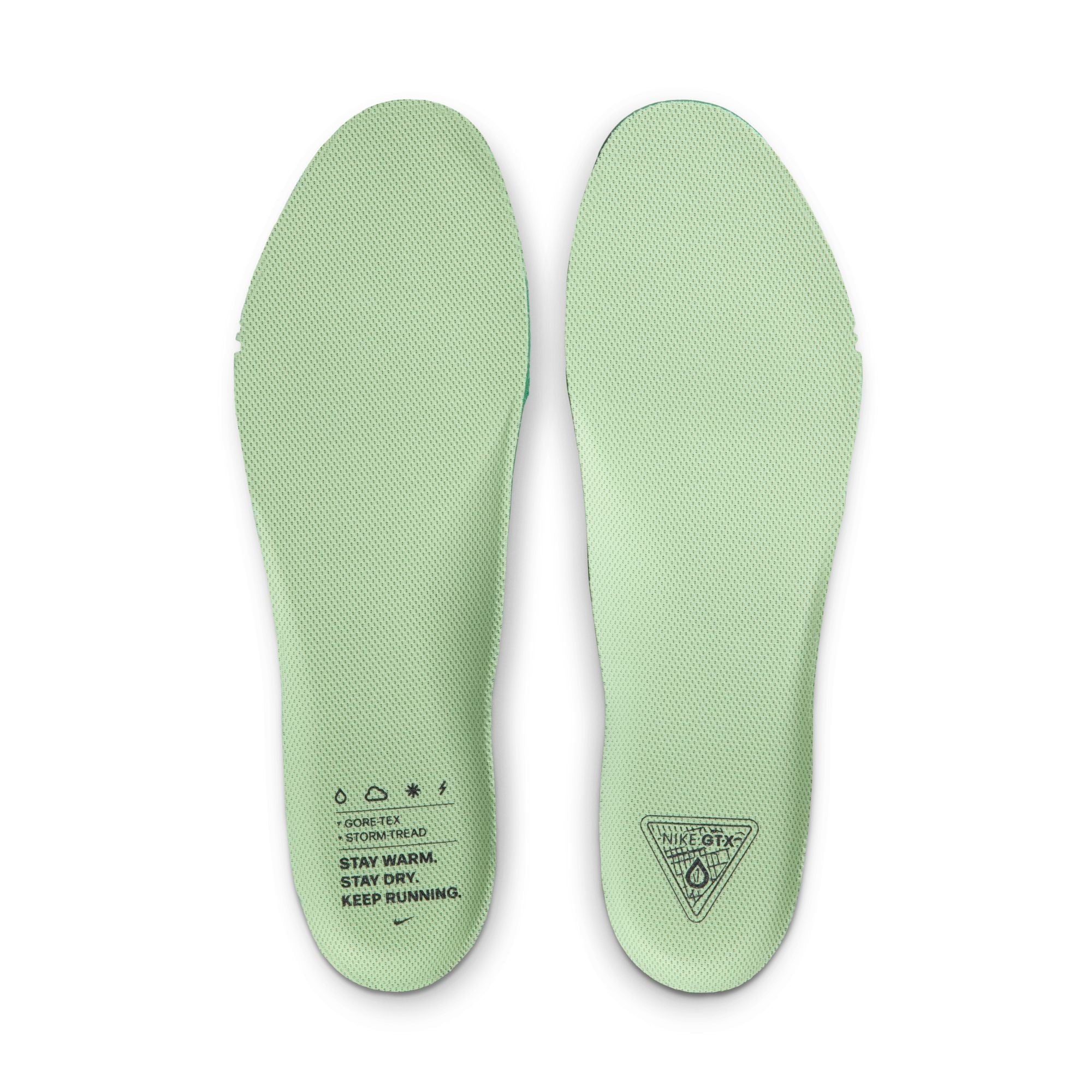 Men's Pegasus 41 GORE-TEX (006 - Cannon/Volt-Obsidian-Seaweed)