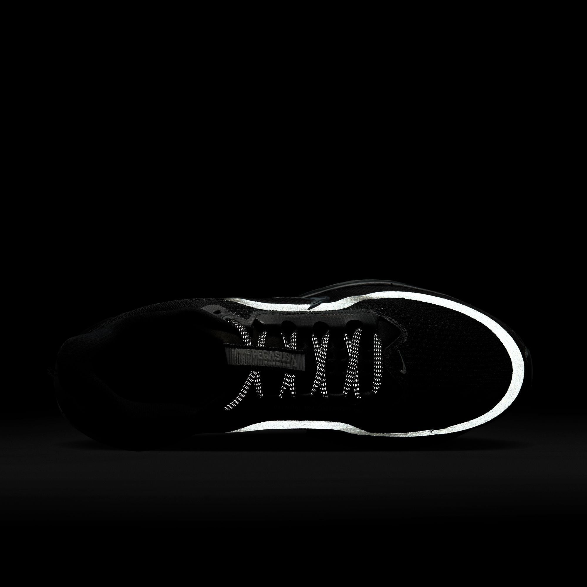 Men's Pegasus Premium (005 - Black/Black-Metallic Silver)