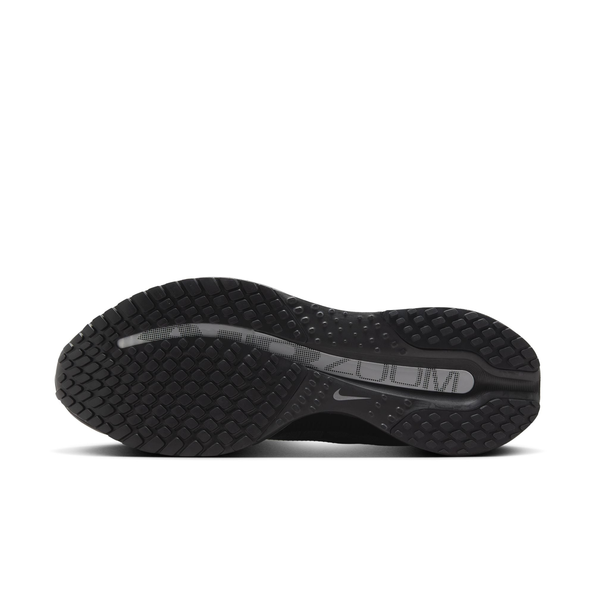 Men's Pegasus Premium (005 - Black/Black-Metallic Silver)