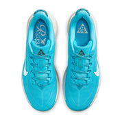 Men’s ACG Pegasus Trail (400 - Baltic Blue/Summit White-Lt Orewood Brn)